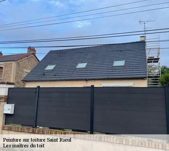 Peinture sur toiture  22270