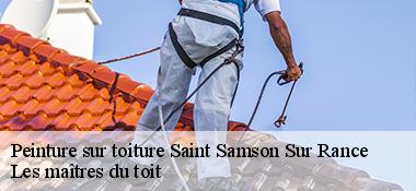 Peinture sur toiture 22100