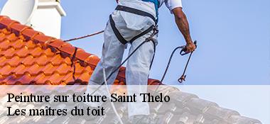 Peinture sur toiture  22460