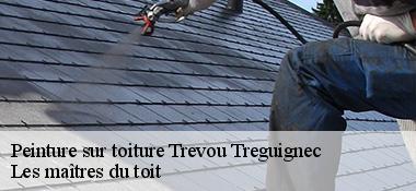 Peinture sur toiture 22660