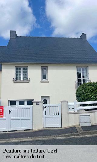 Peinture sur toiture  22460