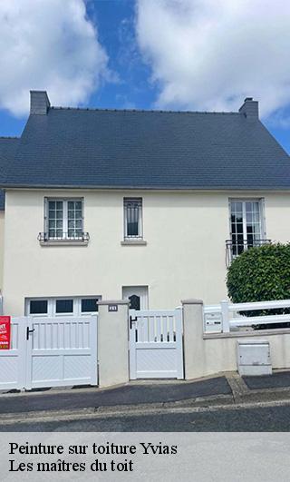 Peinture sur toiture 22930