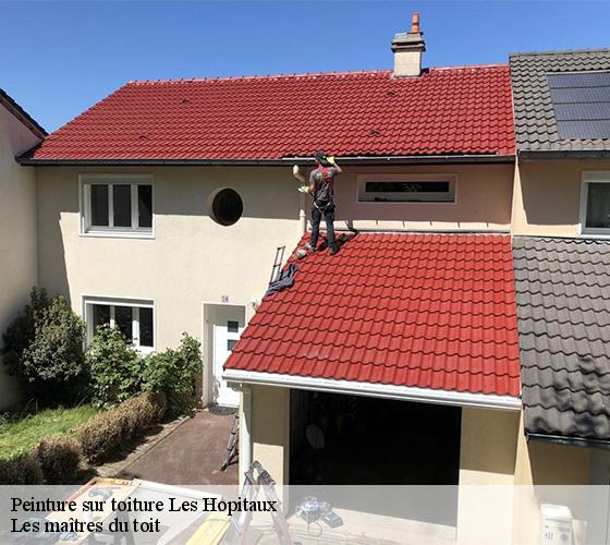 Peinture sur toiture  22430