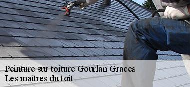 Peinture sur toiture 22200