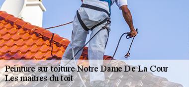 Peinture sur toiture  22410