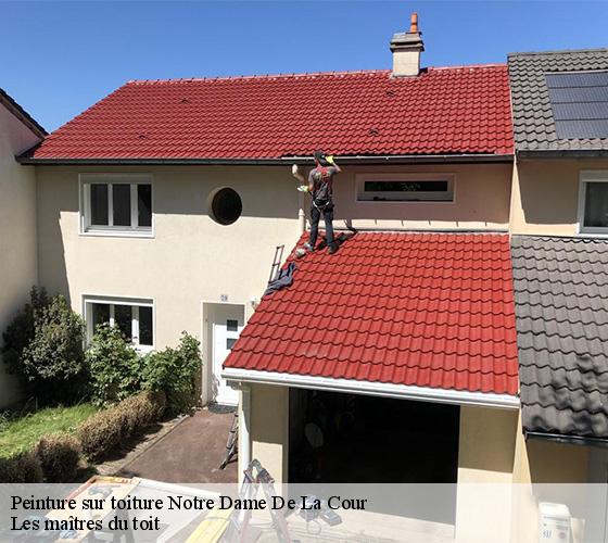 Peinture sur toiture  22410
