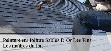 Peinture sur toiture  22240