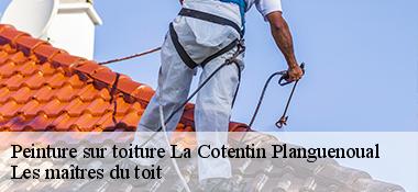 Peinture sur toiture  22400