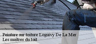 Peinture sur toiture  22620