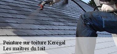 Peinture sur toiture  22580