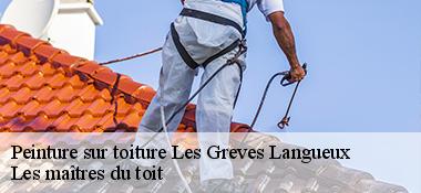 Peinture sur toiture  22360