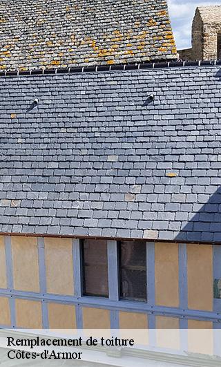 Remplacement de toiture Côtes-d'Armor