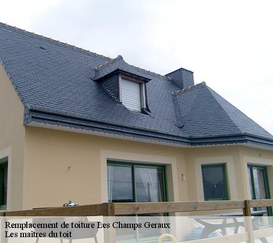 Remplacement de toiture 22630