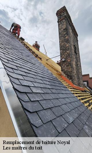 Remplacement de toiture  22400