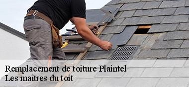 Remplacement de toiture  22940