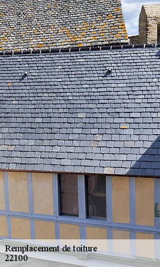 Remplacement de toiture 22100