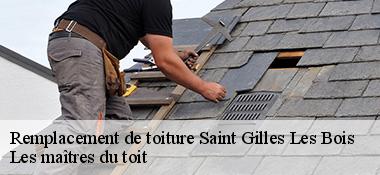 Remplacement de toiture  22290