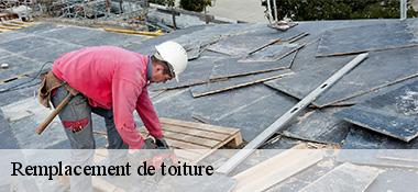 Remplacement de toiture  22460
