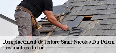 Remplacement de toiture  22480