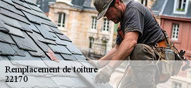Remplacement de toiture  22170