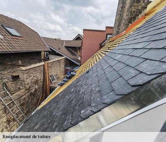 Remplacement de toiture  22300