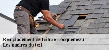 Remplacement de toiture 22300