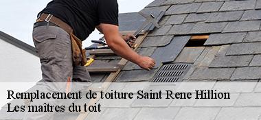 Remplacement de toiture  22120