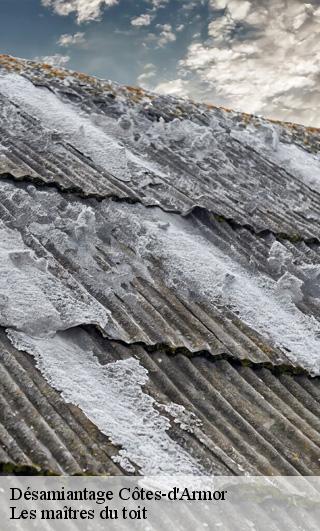 Désamiantage Côtes-d'Armor 