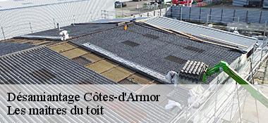 Désamiantage Côtes-d'Armor 