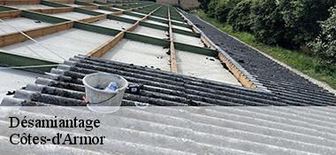 Désamiantage Côtes-d'Armor 