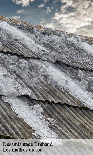Désamiantage  22510