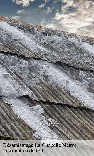 Désamiantage  22160