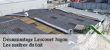 Désamiantage  22270