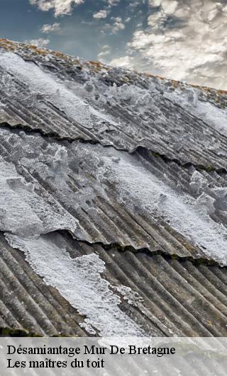 Désamiantage  22530