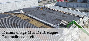 Désamiantage  22530