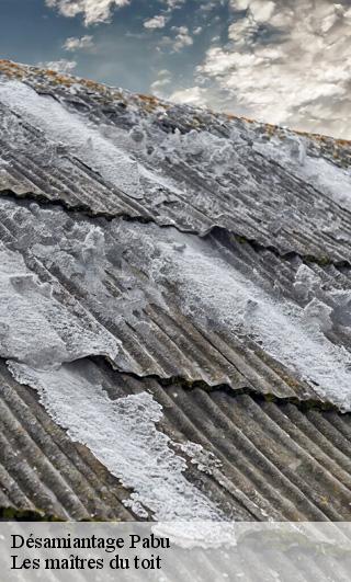 Désamiantage  22200