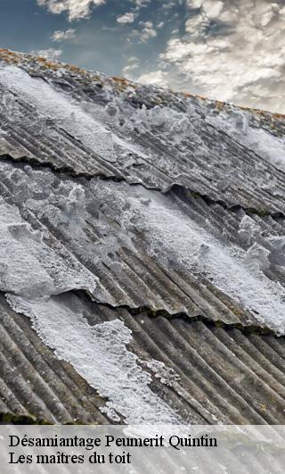 Désamiantage  22480