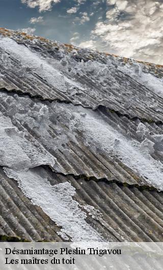 Désamiantage  22490