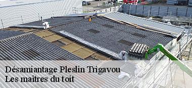 Désamiantage  22490