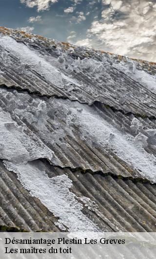 Désamiantage  22310