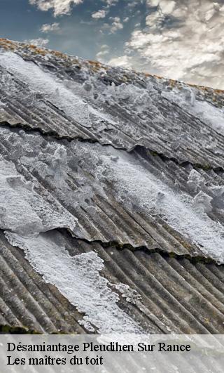 Désamiantage  22690