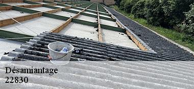Désamiantage  22830