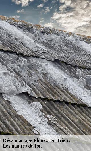 Désamiantage  22260