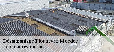 Désamiantage  22810