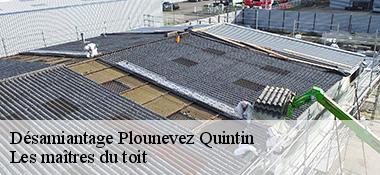 Désamiantage  22110