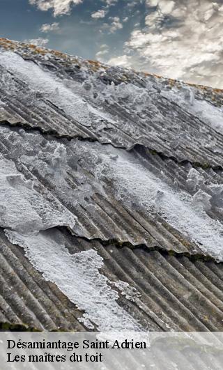 Désamiantage  22390