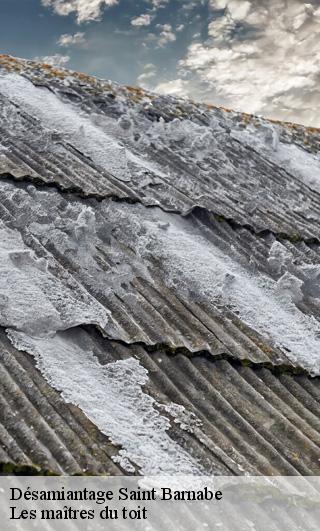 Désamiantage  22600