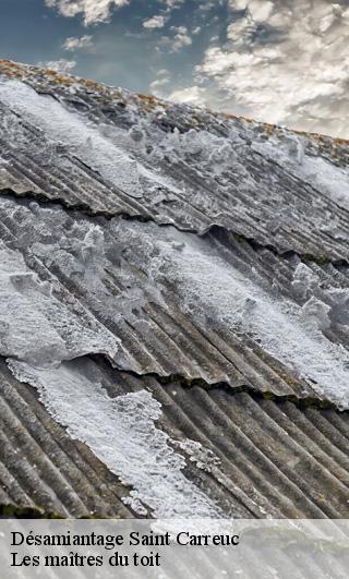 Désamiantage  22150