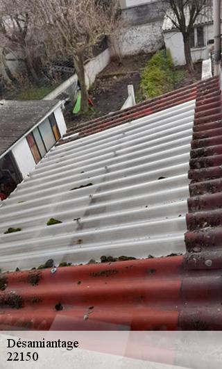 Désamiantage  22150