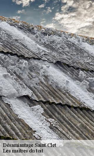 Désamiantage  22260